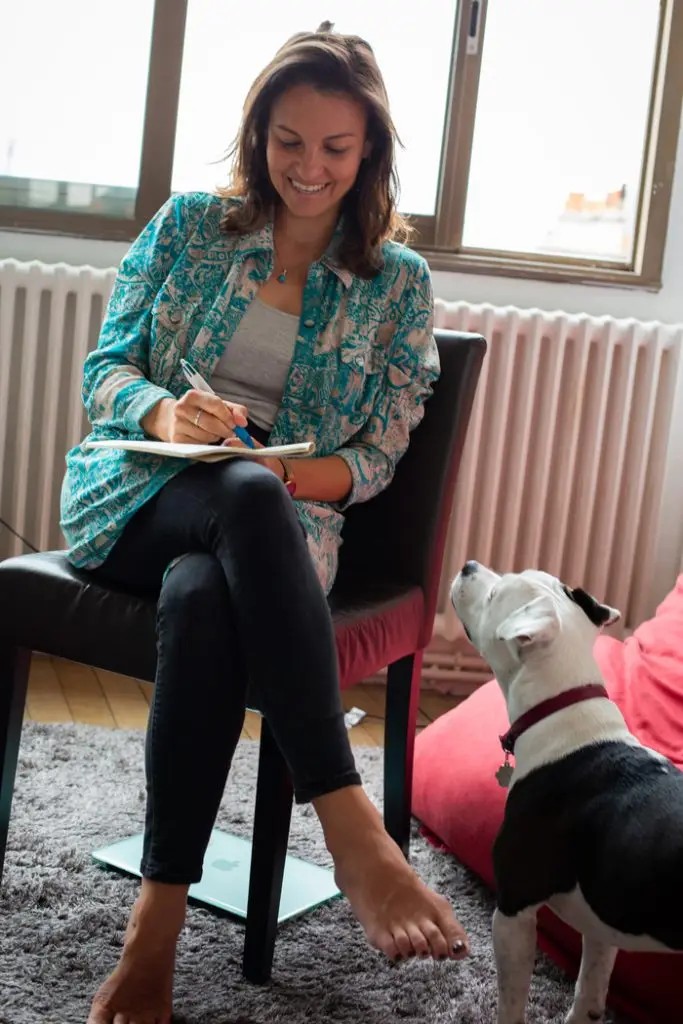 Joy consultation communication animale