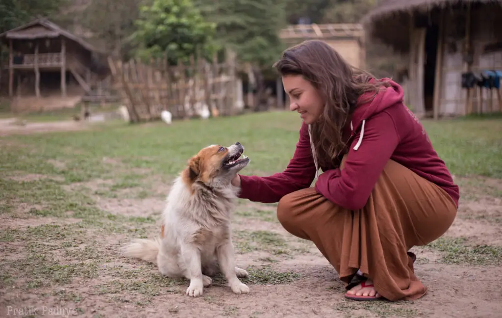 Joy communique avec un chien qu'elle rencontre lors d'un voyage.
