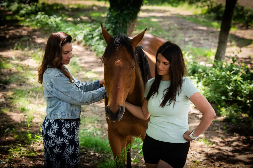 Joy fait un soin à Reep, le cheval de Charlie