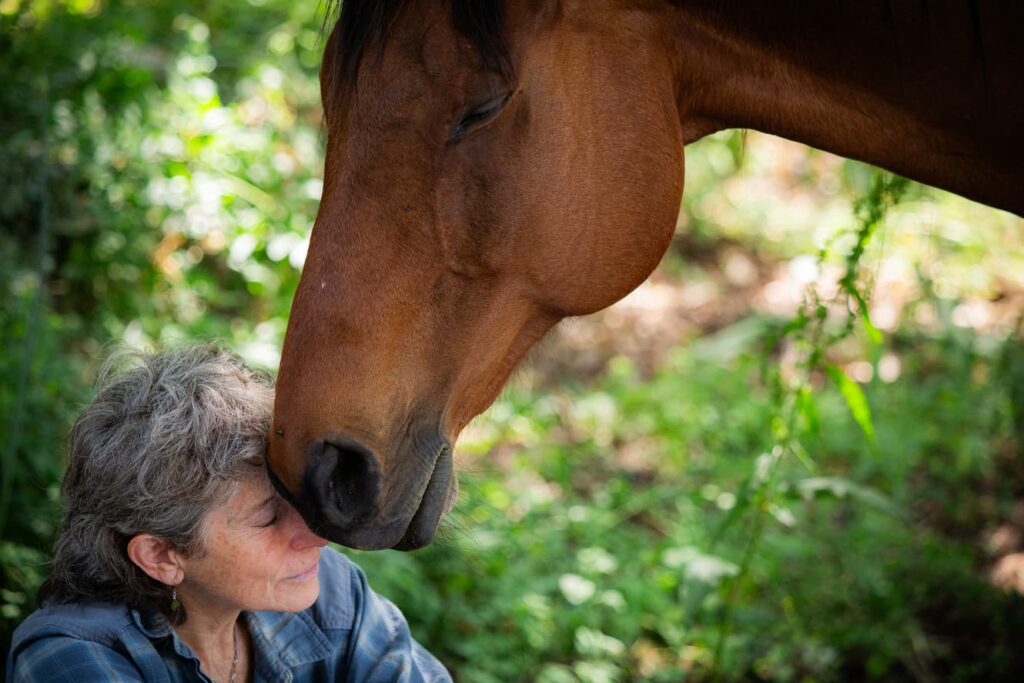 Expertise en communication animale